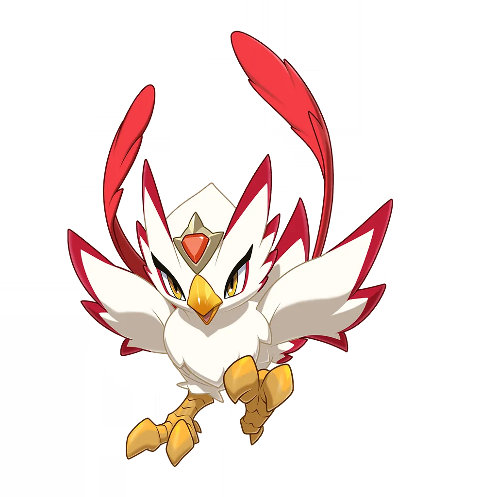长尾火鸟
